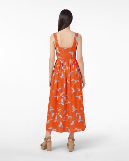 Draper James Multicolor Esme Midi Dress in Parrot Print