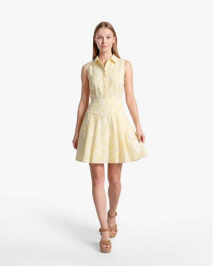 Draper James Yellow Brighton Mini Collared Dress in Striped Fil Coupe