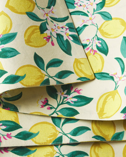 Draper James Multicolor Lemon Blossom Reversible Placemat Set