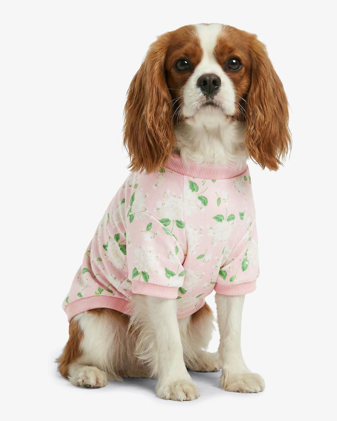 Draper James Pink Pink Hydrangea Print Sweatshirt