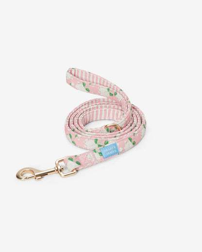 Draper James Pink Pink Hydrangea Print Leash