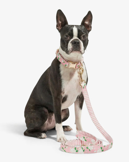 Draper James Pink Pink Hydrangea Print Leash