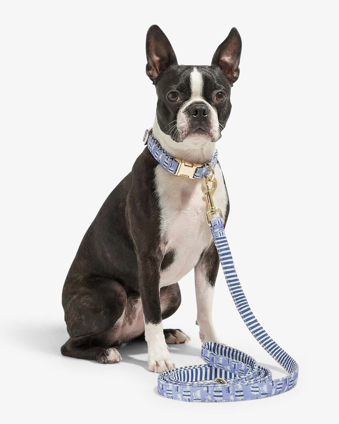 Draper James Blue Multi Blue Book Print Leash