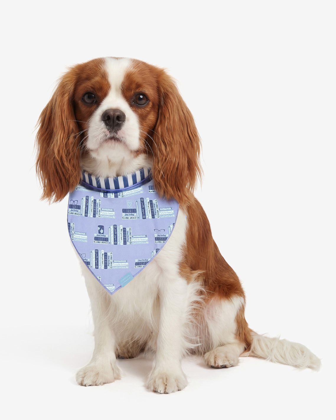 Draper James Blue Multi Blue Reversible Book Print Bandana