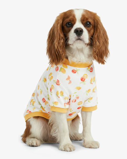 Draper James Magnolia White Multi White Watercolor Citrus Sweatshirt