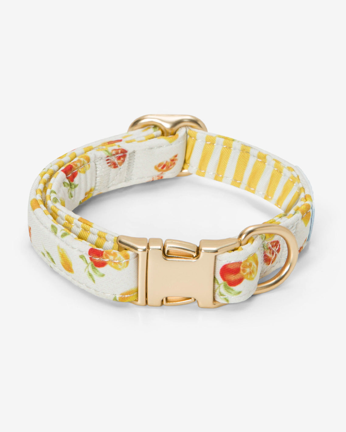 Draper James Magnolia White Multi White Watercolor Citrus Collar