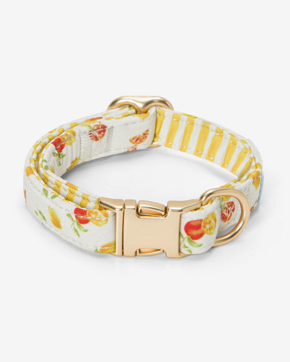 Draper James Magnolia White Multi White Watercolor Citrus Collar