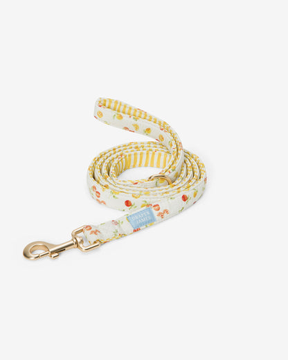 Draper James Magnolia White Multi White Watercolor Citrus Leash