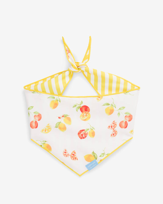 Draper James Yellow Yellow Reversible Citrus Bandana
