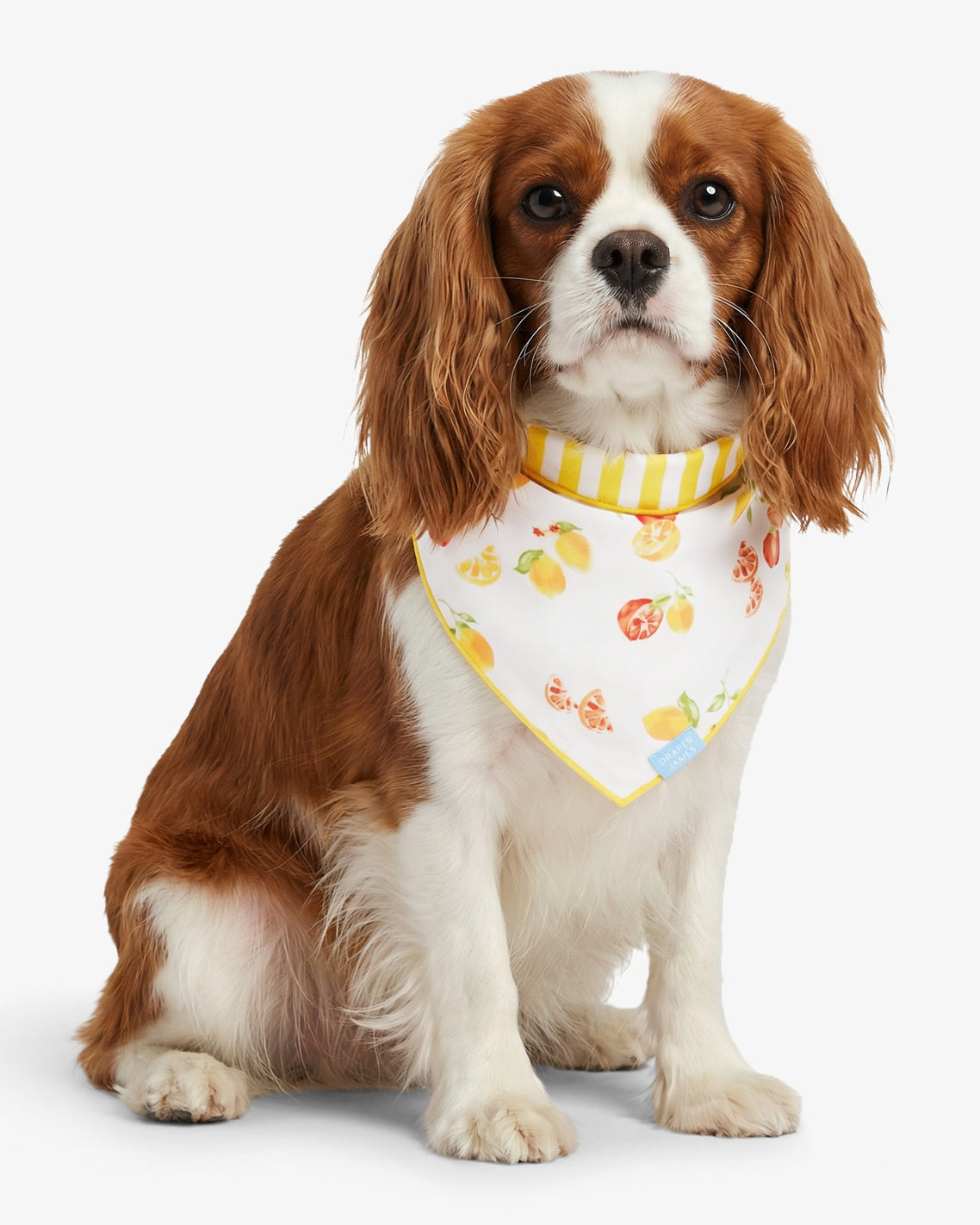 Draper James Yellow Yellow Reversible Citrus Bandana