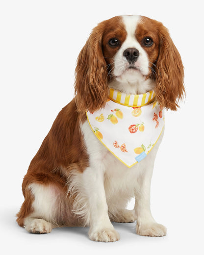 Draper James Yellow Yellow Reversible Citrus Bandana