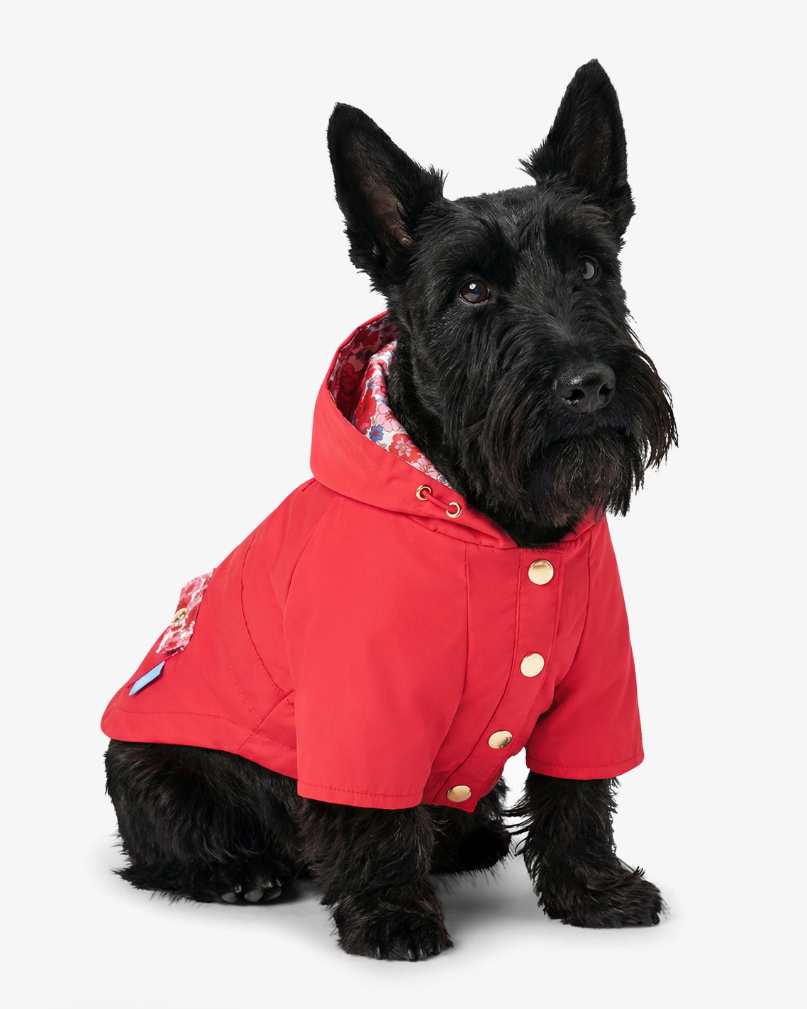Draper James Red Red Hooded Pocket Jacket