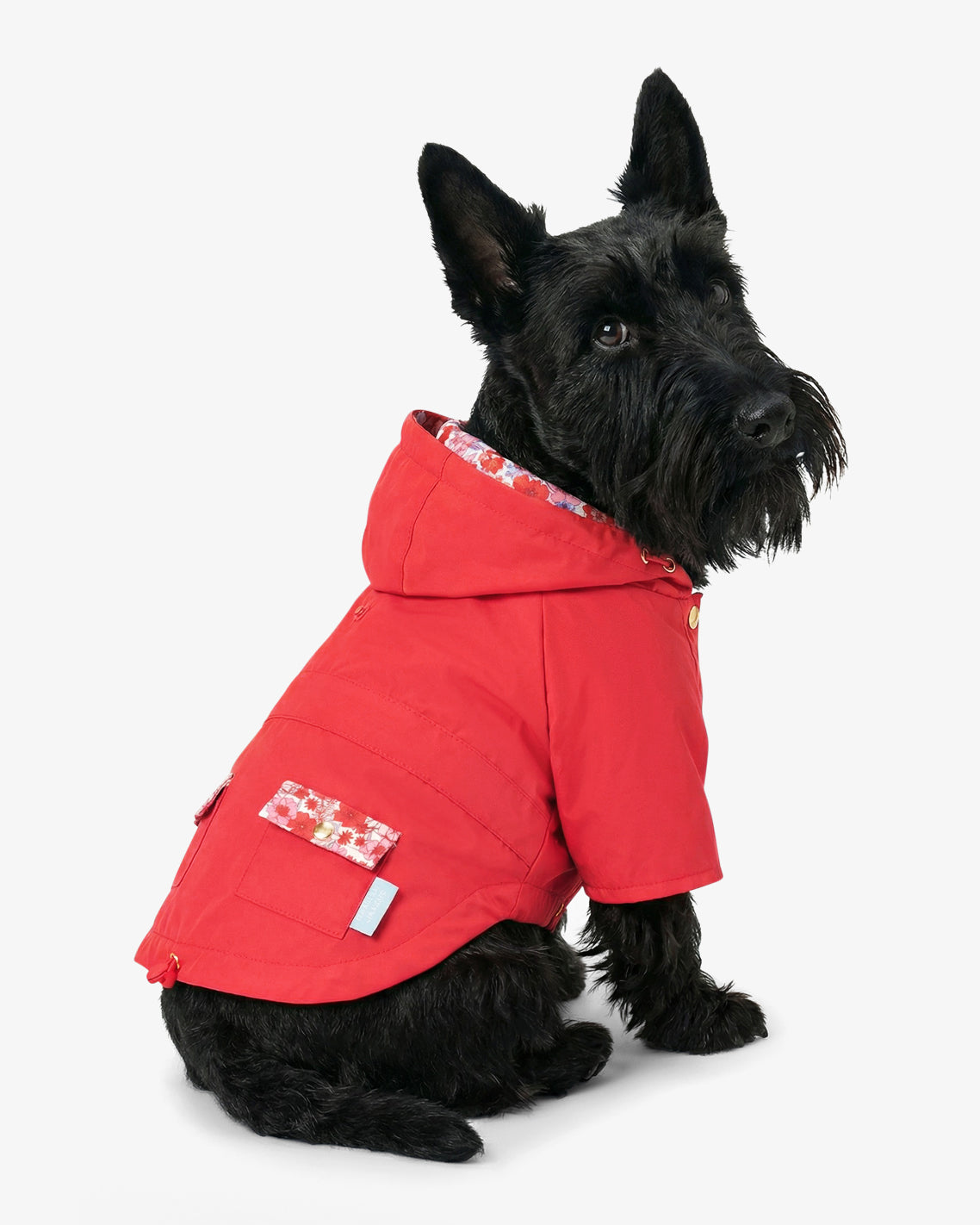 Draper James Red Red Hooded Pocket Jacket